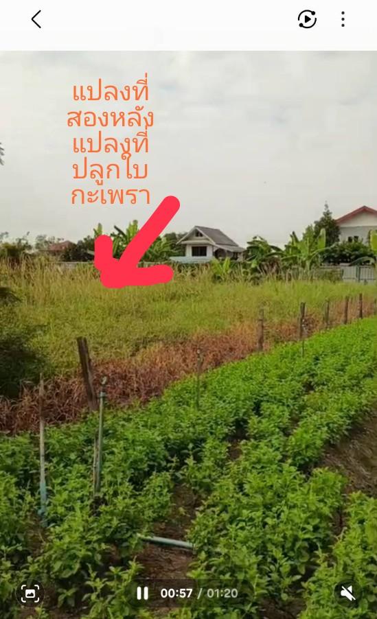 ที่ดิน ว่างเปล่า นนทบุรี 2