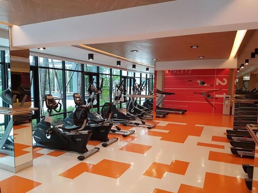 Plum condo แจ้งวัฒนะ 13