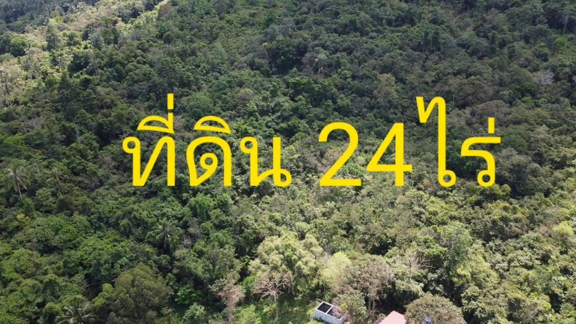 ขายที่ดิน24ไร่บนเกาะสมุย 5