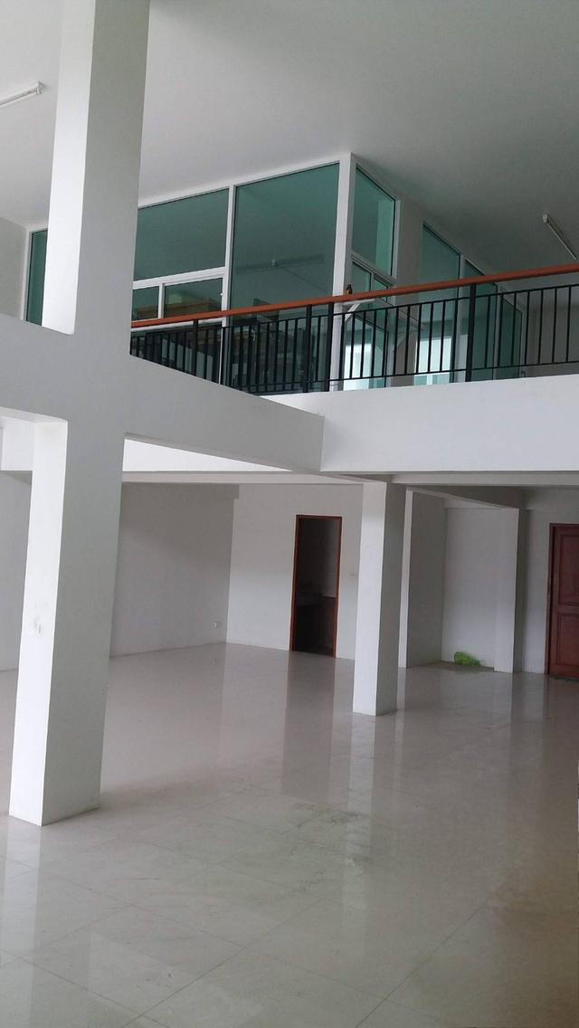 ตึกพาณิช อาคาร ตึกคูหา 4