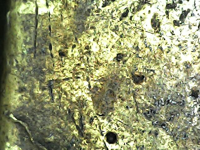 พระหลวงปู่ทวดหลังเตารีด 8