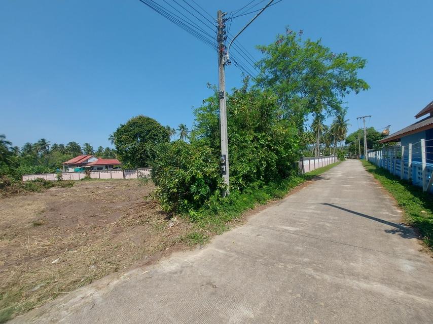 ที่ดินผืนใหญ่ใกล้ทะเล สำหรับคนที่ต้องการความเป็นส่วนตัว 12