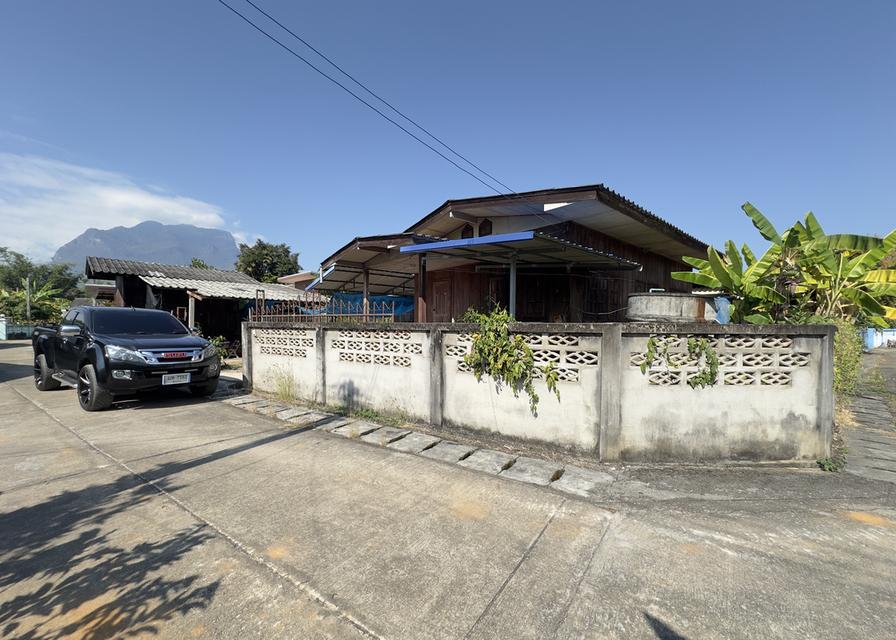 บ้านพร้อมที่ดินในตัวเมืองเชียงดาว 5