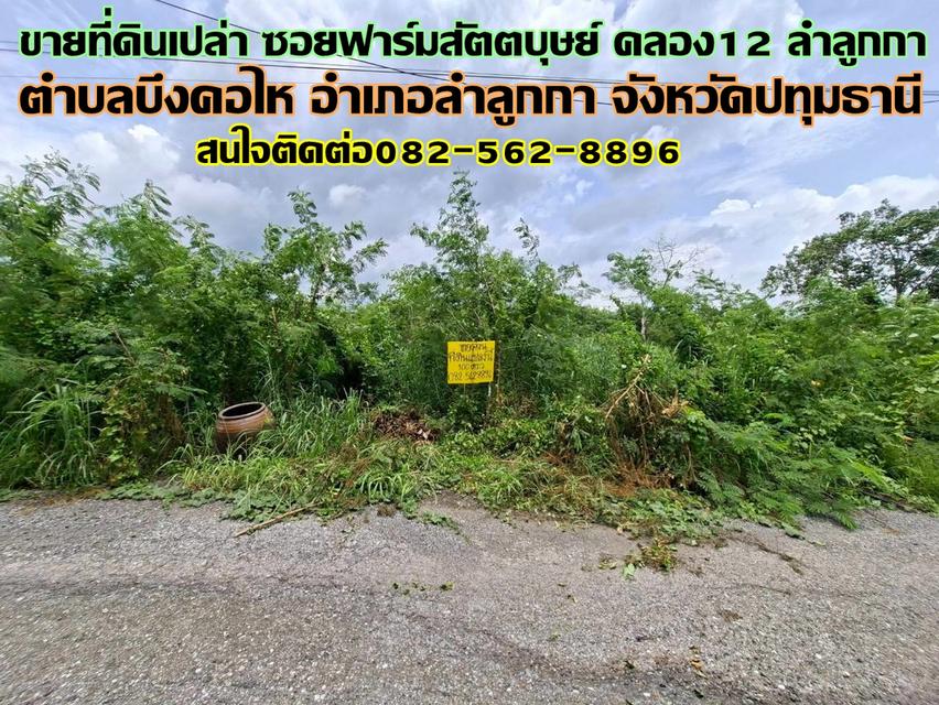 ขายที่ดินเปล่า ซอยฟาร์มสัตตบุษย์ คลอง12 ลำลูกกา 1