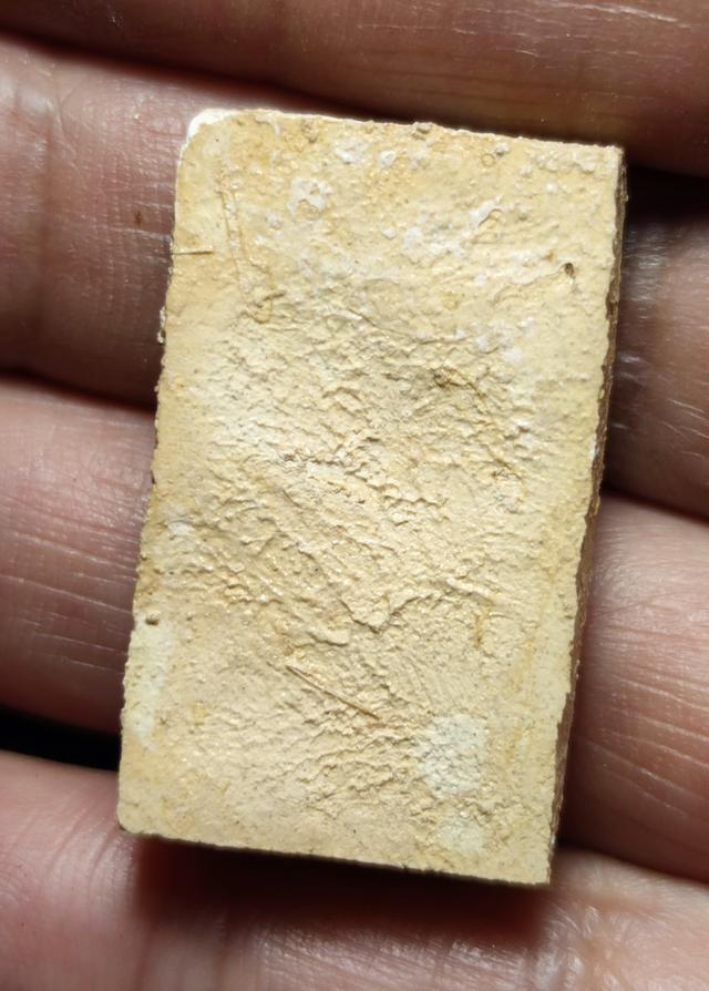 หลวงปู่โต๊ะวัดประดู่ฉิมพลี รูปที่ 2