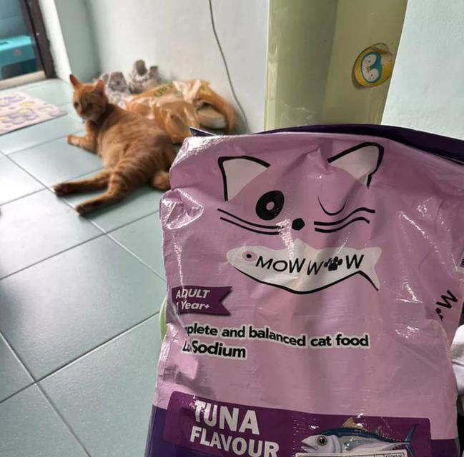 Mow wow อาหารแมว 7kg 3