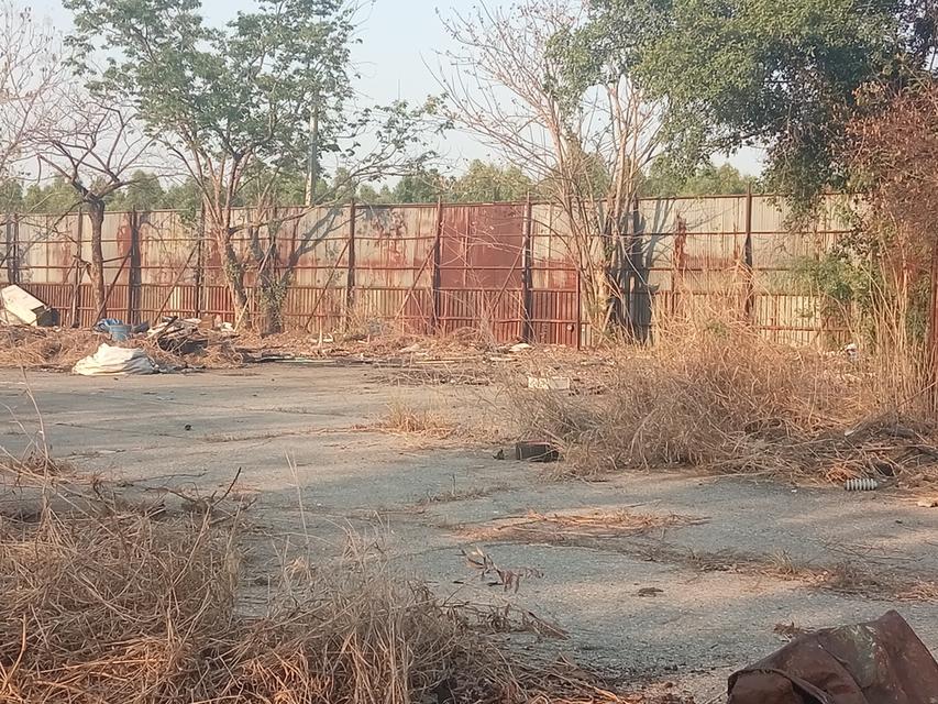 ขายที่ดิน6ไร่ติดถนนนิมิตรใหม่ คลองสามวา 12