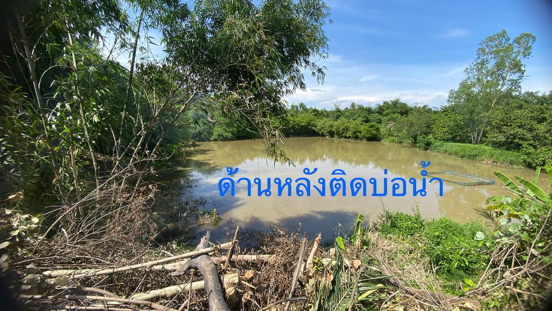 ขายด่วน ที่ดิน 1 ไร่ ชลบุรี 11