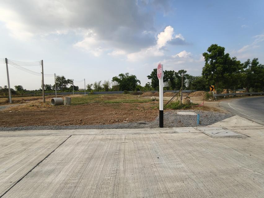 ที่ดินทำเลทองใกล้มหาวิทยาลัยราชภัฏนครปฐม 1