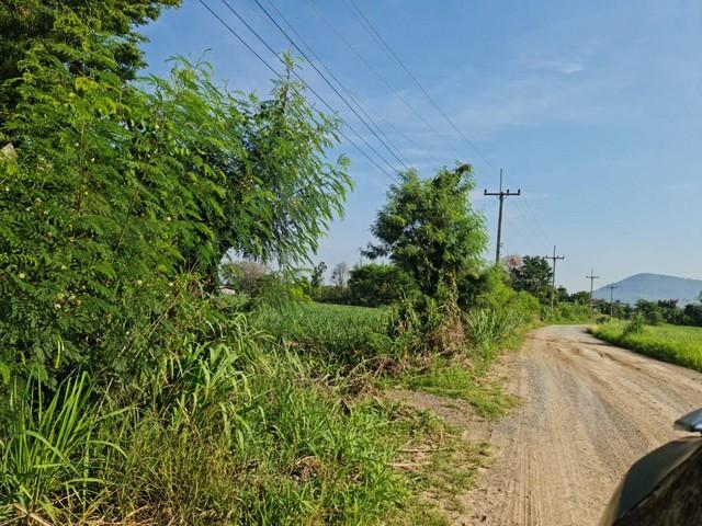 แปลงนี้ซื้อแบบผ่อนตรงกับเจ้าของได้ ที่ปากช่อง 2ไร่- 8ไร่ โฉนด ต.วังไทร อ.ปากช่อง จ.นครราชสีมา ไร่ละ 2.9 ลบ.สูงจากระดับน้ 4