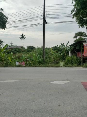ขายด่วน ที่ดินเปล่า 49 ตร.ว. คลองโยง-พุทธมณฑล ใกล้มหิดล ศาลายา เดินทางเข้ากรุงเทพาะดวก