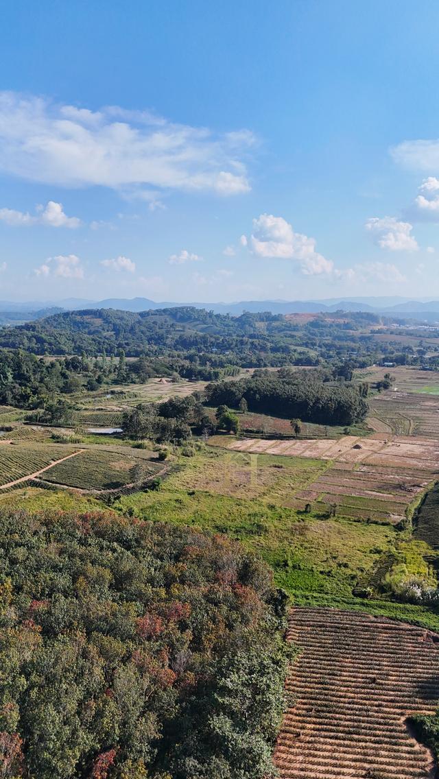 ที่ดินวิวภูเขา 88 ไร่ ติดถนนใหญ่ ทำเลอนาคตไกล แม่จัน  โอกาสพัฒนาได้หลายรูปแบบ!” 6