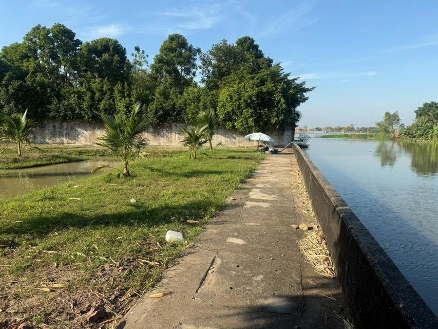 ขายที่ดิน 291.5 ตารางวา หน้าติดถนนสุคนธวิท หลังติดแม่น้ำ ตำบลตลาดกระทุ่มแบน กระทุ่มแบน สมุทรสาคร 5