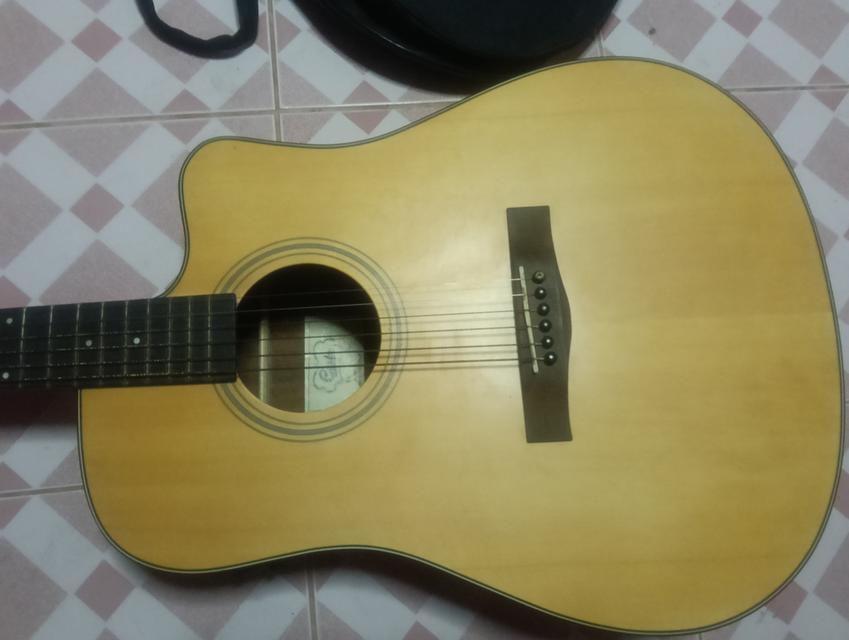 กีตาร์โปร่งไฟฟ้า GUSTA DM2CE