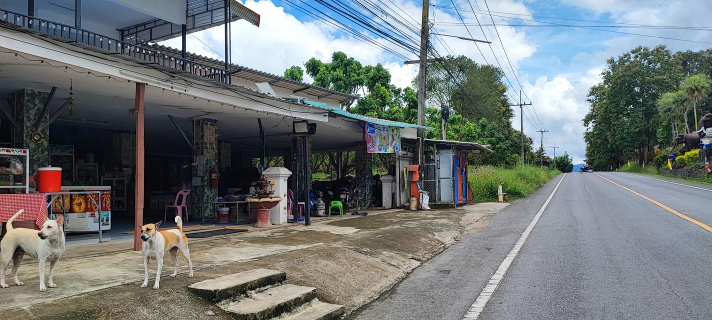 🏡🌿 ขายที่ดินพร้อมสิ่งปลูกสร้าง 10 ไร่กว่า ตรงข้ามโรงแรมกัซซัน ขุนตาน กอล์ฟ แอนด์ รีสอร์ท อ.แม่ทา จังหวัดลำพูน 13