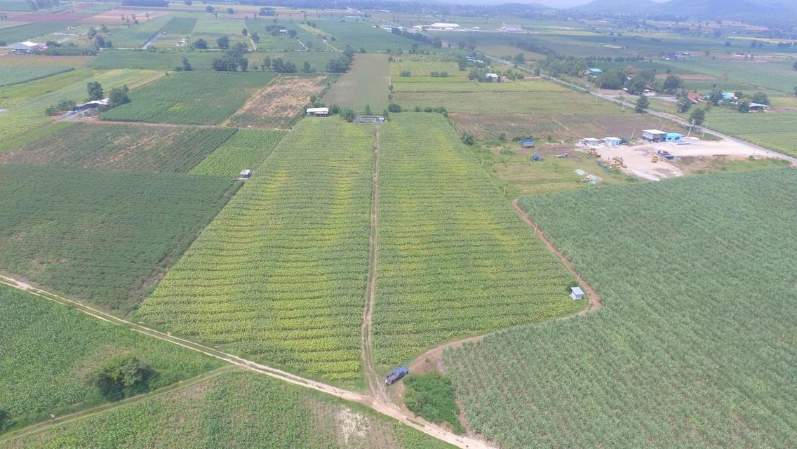 ที่ดินโฉนดครุฑแดง นส 4จ ใกล้วัดเขากำแพงอู่ทอง 3