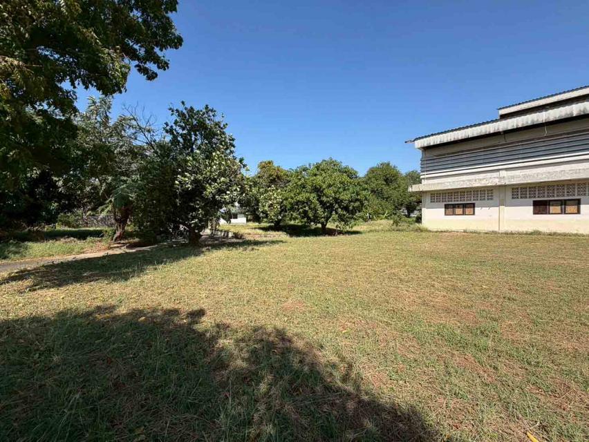 ขาย โรงงาน กระทุ่มแบน ซ.วปอ 11 พิเศษ กระทุ่มแบน สมุทรสาคร 7-2-37.9 ตรว เหมาะทำ โรงงาน 2