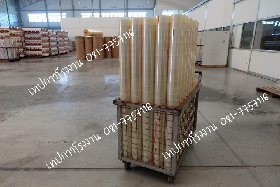 OPP TAPE เทปปิดกล่อง เทปกาวราคาโรงงาน 081-7757116 รูปย่อยที่ 4