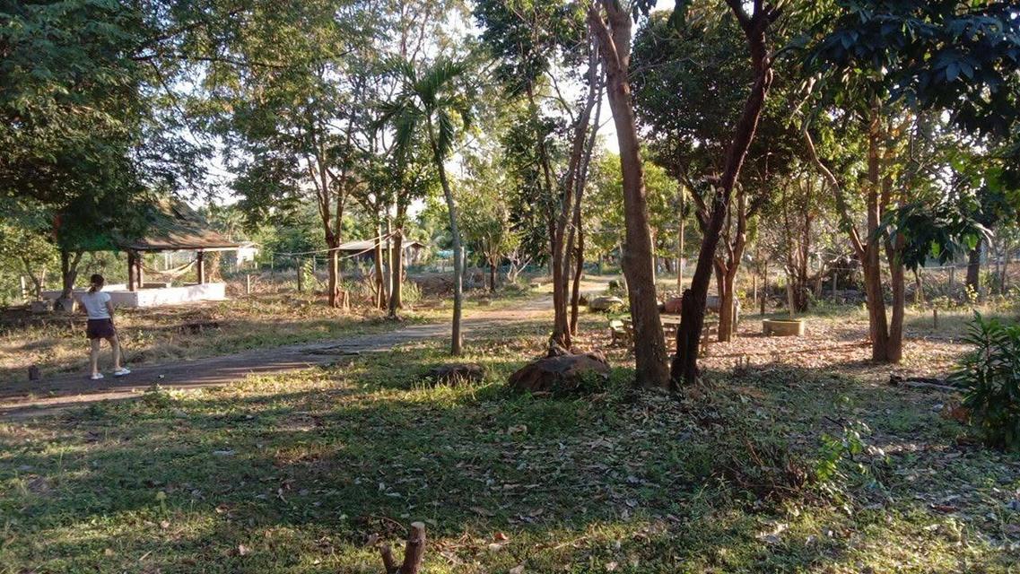 ขายบ้านพร้อมที่ดิน หลังติดเขา ต.เขาขลุง อ.บ้านโป่ง จ.ราชบุรี 3