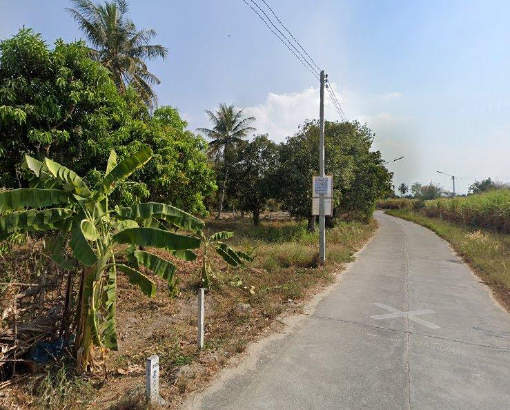 ขายที่ดินหนองหงษ์ 2 ไร่ ติดถนนคอนกรีต ใกล้ถนนเส้นชบ.3023-200เมตร อ.พานทอง ชลบุรี 3