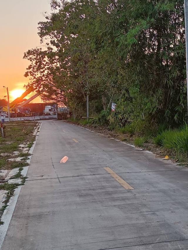 ด่วน ต้องการขายที่ดิน - ที่ดินแหลมฉบัง ผังสีส้ม 1