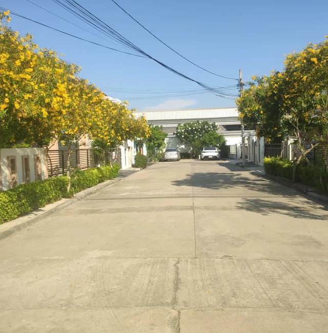 🏡 บ้านเดี่ยวหลังใหญ่ พร้อมอยู่ 📍 โครงการหมู่บ้านชวนชมพาร์ค 2 ✨ รายละเอียดบ้าน • เนื้อที่ 89 ตารางวา • 5 ห้องนอน • แอร์ 5 เครื่อง • เครื่องทำน้ำอุ่น 5
