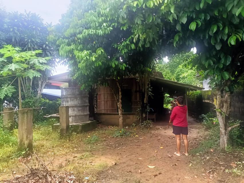 ที่ดินพร้อมบ้านราคาถูกมากเชียงใหม่เจ้าของขายเอง 2