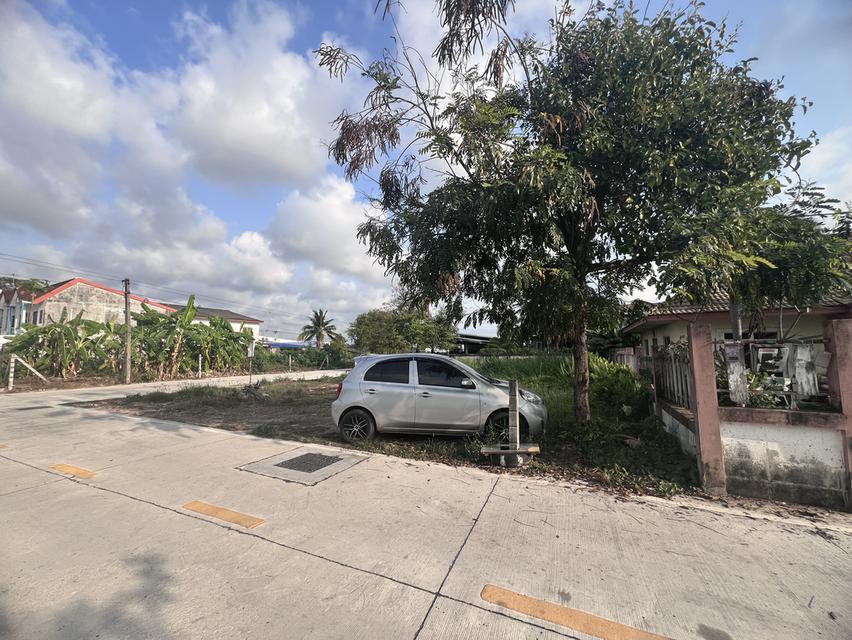 บ้านเดี่ยวพร้อมที่ดิน 1