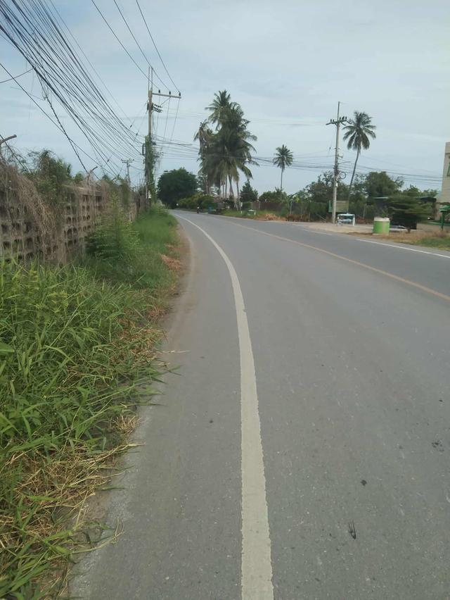 ที่ดินนครปฐม ต.ลำพยา อ.เมือง นครปฐม 362ตรว.กว้าง26เมตรลึก53เมตร 7