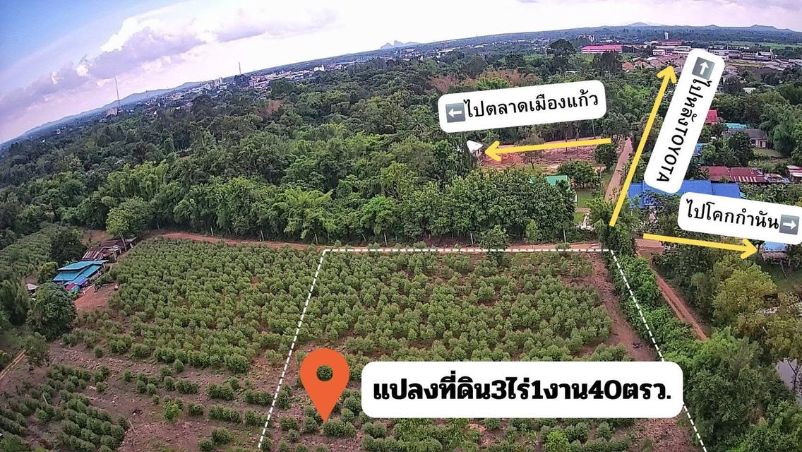 ขายที่ดิน