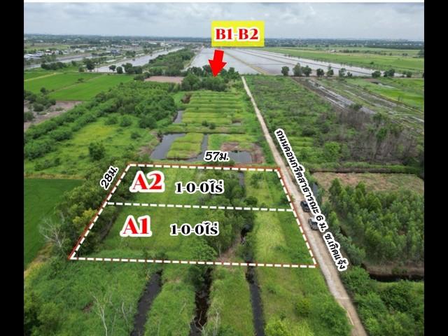 ขายที่ดินเปล่า คลองห้าตะวันตก ซอยเกิดแจ้ง อ.คลองหลวง จ.ปทุมธานี เนื้อที่ 400 ตรว. วิวรีสอร์ท ริมคลอง 5