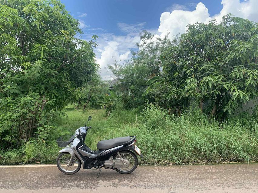 ขายที่่ดิน 📌ขายที่ดินเปล่า 1ไร่ 1งาน94 ตารางวา 📌ราคา3.5m สนใจต่อลองราคาได้ 📌ชุมชนหัวคู อ.เมือง จ.กาฬสินธุ์ ติดถนนไฟฟ้า น้ำถึง 📌ใกล้บิ๊กซี/แม็คโคร 5