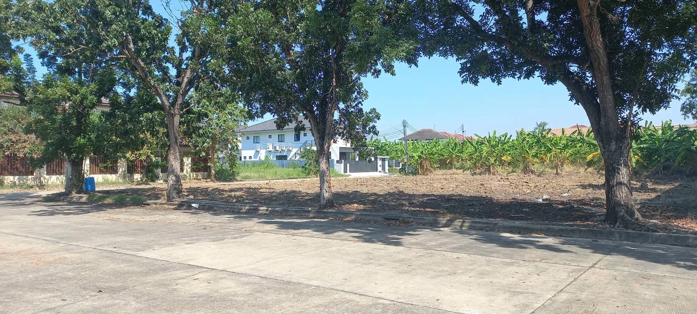 ที่ดินสร้างบ้านม.วริยาวิลล์ บรมราชชนนี พุทธมณฑลสาย4 ใกล้มหิดลศาลายา แปลงมุม ถนนเมน 305 ตร.ว สร้างบ้าน สำนักงาน ราคาพิเศษ 17