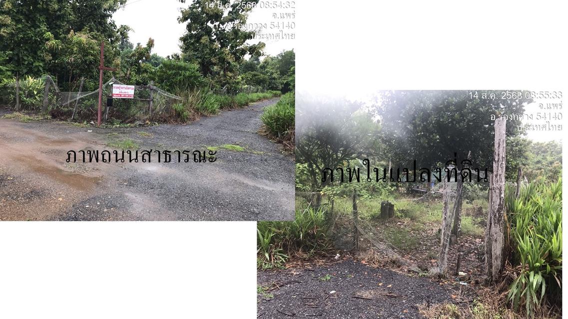 ขายที่ดินในโครงการหมู่บ้านบัวทอง 82 ตร.ว. ใกล้แยกไฟแดง รพ. ร้องกวาง แพร่ น้ำไม่ท่วม 7