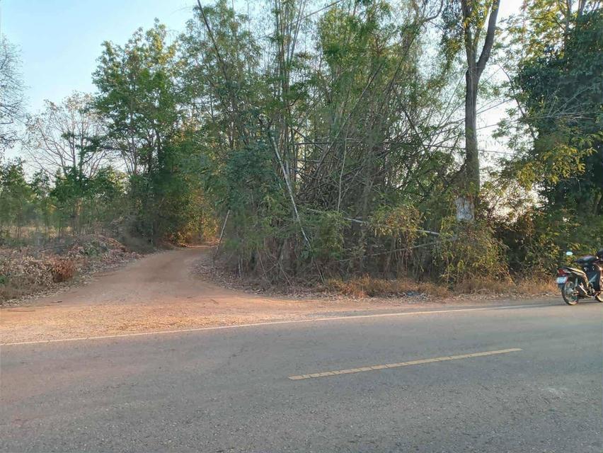 📍ขายที่ดินเปล่า ในพื้นที่ของ อ.พระยืน จ.ขอนแก่น