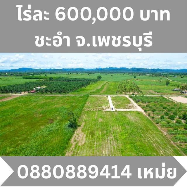 ที่ดิน ชะอำ เพชรบุรี ไร่ละ 6แสนบาท ขายยก 3-2-58 ไร่  8