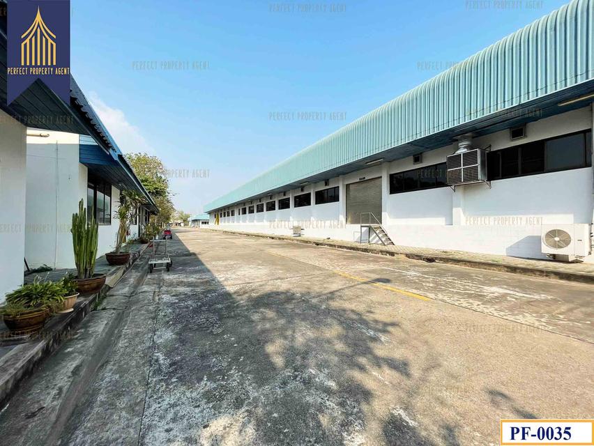 ขายโรงงาน ห้องเย็น ใกล้บ้านโพธิ์ ฉะเชิงเทรา คลองประเวศ ฉะเชิงเทรา 11