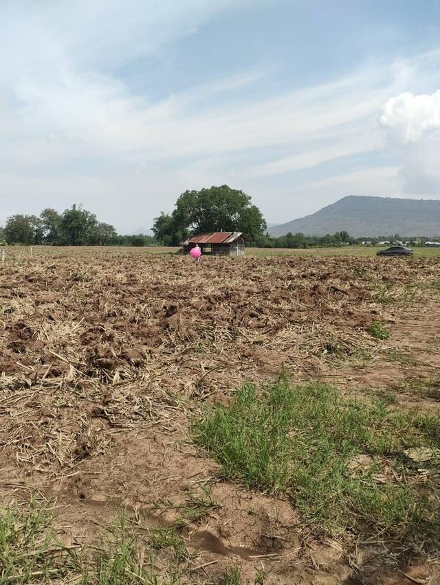 ประกาศขายที่ดินปากช่องแุถวรีสอร์ทบ้านนอกคอกนา ของฉันเอง 7