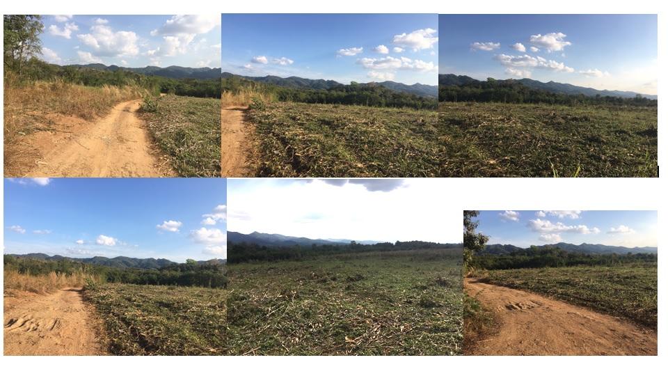 ขายที่ดินแปลงเดียว สูงกว่าถนน 42 ไร่ วิวภูเขา 360 องศา ที่ดินเป็นเนินหลังเต่า มองวิวทิวทัศน์รอบด้านเหมือนพญาอินทรีย์ครับ 1