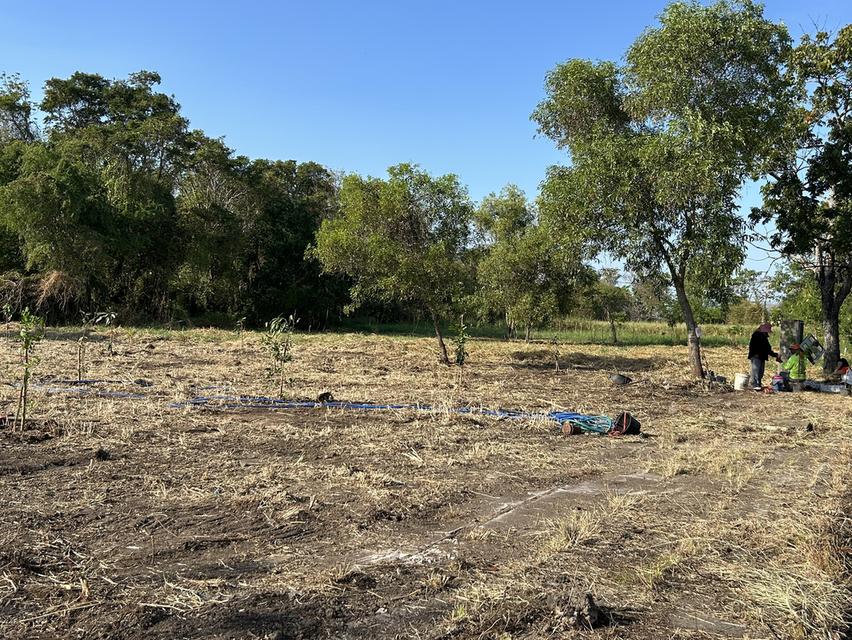 ขายที่ดินแปลงสวย วิจิตราธานี บางนา–ตราด  เนื้อที่ 230 ตร.ว ต่ำกว่าราคาประเมิน คุ้มค่ามาก 5