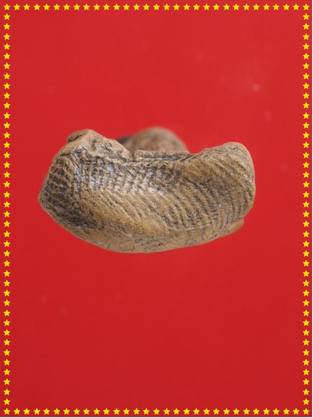 t58.ฤาษี พระเครื่อง 3