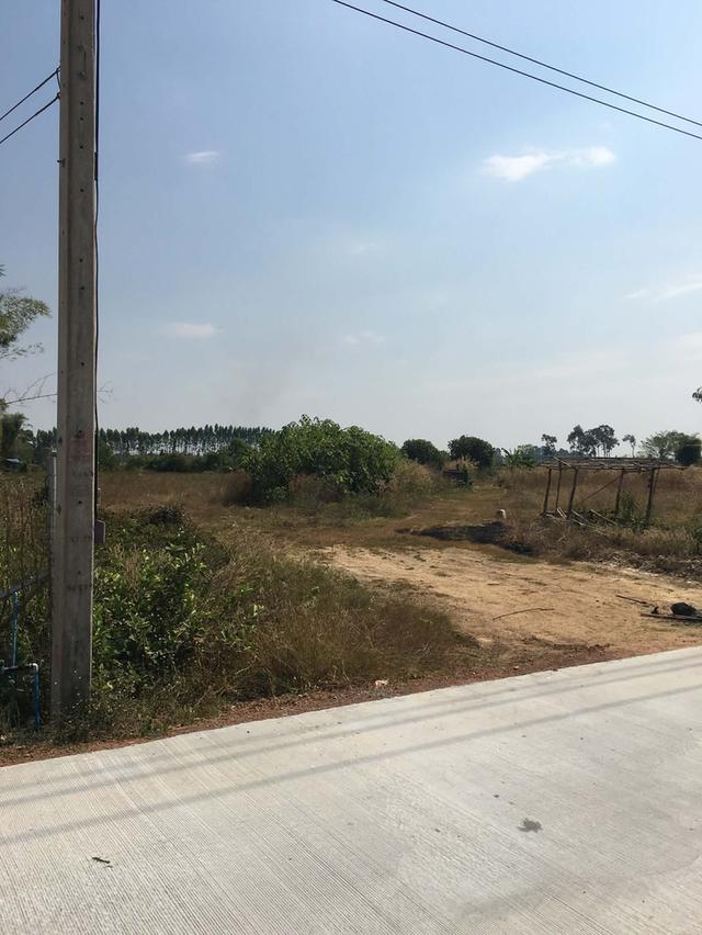 ขายที่ดินหัวหว้าติดถนนคอนกรีต 1 ไร่ เหมาะทำสวน ใกล้ถนนสี่เลนเส้น3070-2กม. อ.ศรีมหาโพธิ ปราจีนบุรี 9