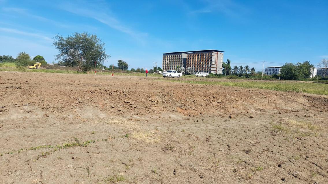  land for sale Nakhon Pathom ขายที่ดินเปล่าสวยมาก กำแพงแสน แบ่งขายได้ แปลง 5 ไร่ เหมาะทำหอพักนักศึกษา ใกล้ มหาลัยเกษตรศาสตร์ กำแพงแสน 4