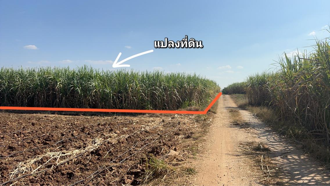 ที่ดิน ติดโรงโม่ 3 โรง แปลงสวยติดถนน 4