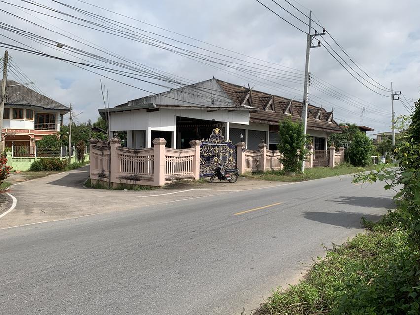 ขายที่ดินพร้อมโกดัง ด้านหน้าติดถนน ม.2 ต.ป่าซาง ออ.ป่าซาง จ.ลำพูน 2