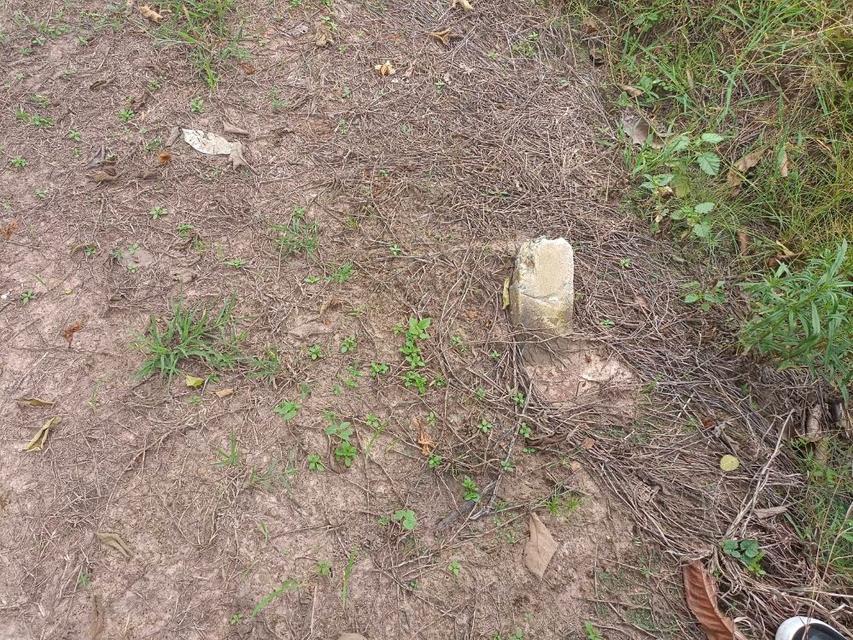 ขายที่ดิน 9-2-13 ไร่ ติดถนน ทำบ้านจัดสรรได้ ติดเทศบาล ตำบลเนินขาม อ.เนินขาม จ.ชัยนาท ขายถูกสุดในย่านนี้ 11