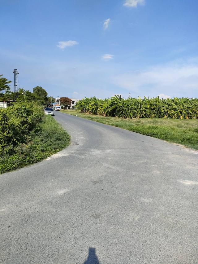 ให้เช่าที่ดินเปล่าถมแล้วในถนนนวลจันทร์ กรุงเทพมหานคร 10