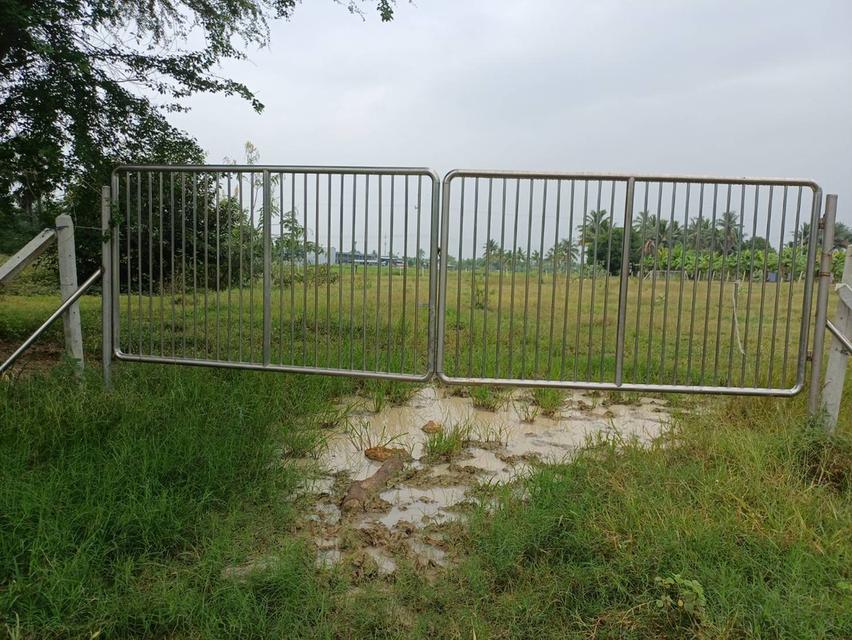 ขายที่ดินเปล่าถมแล้วจำนวน 4 ไร่ ต.เขาขลุง อ.บ้านโป่ง จ. ราชบุรี ห่างถนนใหญ่ 40 เมตร(ถนนกำลังขยาย 4 เลน) 10