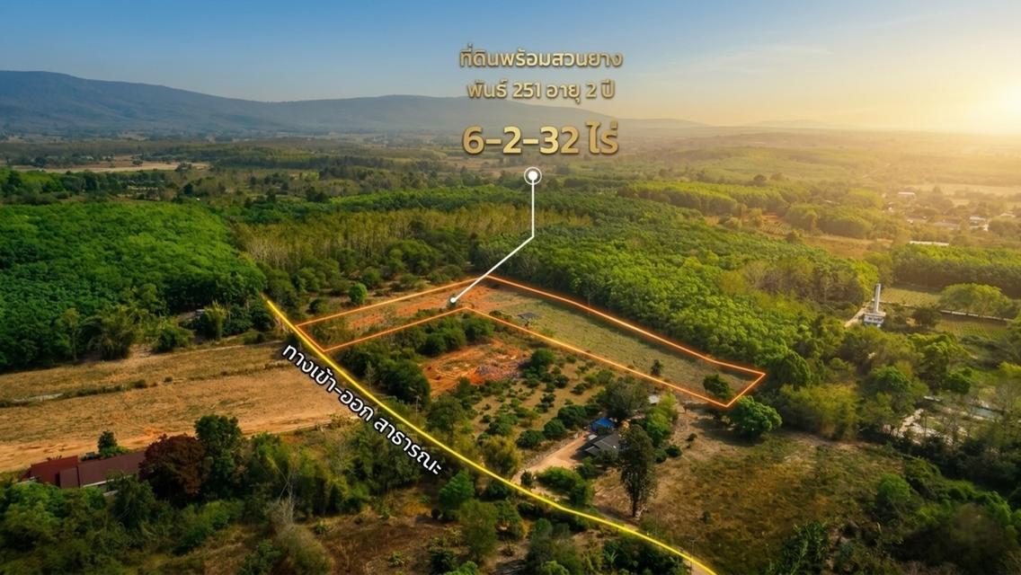 ขายที่ดินสวนยางพารา อำเภอพาน จังหวัดเชียงราย พร้อมทำประโยชน์ต่อได้ทันที 5