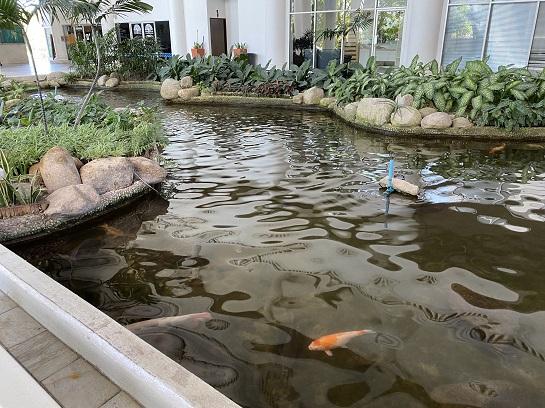 ขาย Condo Pattaya ติดทะเล, Park Beach Condominium, หาดวงศ์อมาตย์, Fully Furnished, ราคาพิเศษ 2.79 ล้านบาท  8